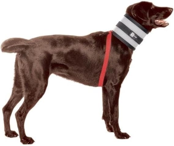 Collar, 7" W x 28" L