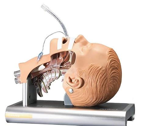 Ambu Intubation Airway Management Trainer