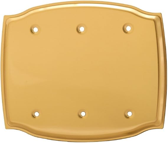 Switchplate Bright Solid Brass Triple Blank | Renovator's Supply