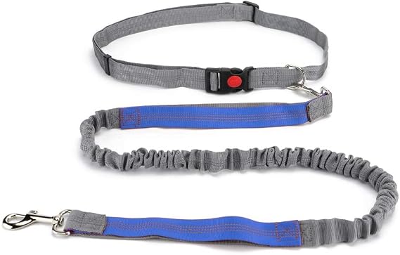 Hands Free Dog Leash, Retractable Dual Handle Bungee Leash, Adjustable Waist Dog Running Belt for Running, Walking, Training, Hiking, Traveling(Gray/Blue)