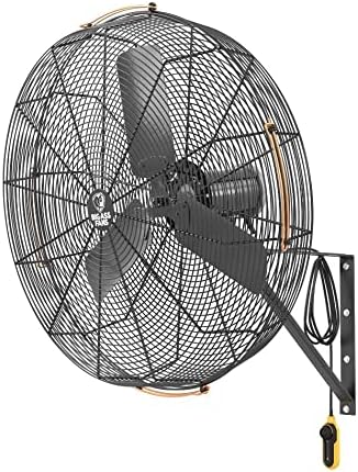 Big Ass Fans AirEye 30" Wall Mount Fan 120V Industrial Wall Fan, Variable Speed EC Motor, IPX5 Rated, Commercial & Outdoor Cooling, Midnight Black
