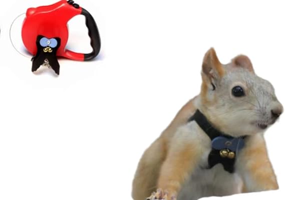 Squirrel Traction Rope Strap Anti-Biting Chain Rope, Small Animal Walking Harness with Extendable Leash for Hamster Gerbil Rat Mouse Ferret Chinchilla (Black with Blue)