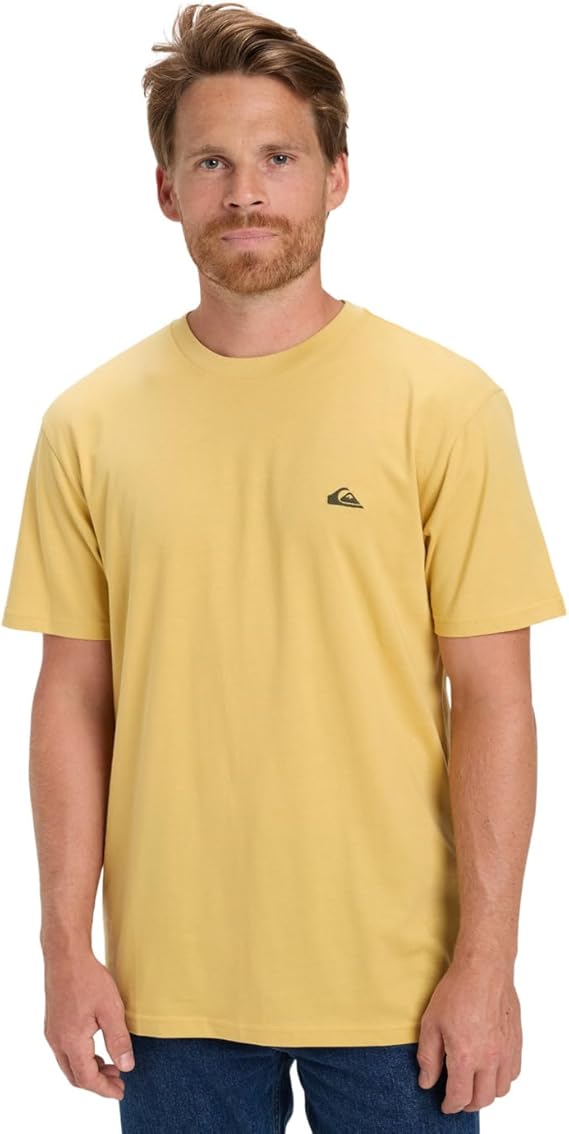 Quiksilver Men's Basic Ss Tee Young T-Shirt (Pack of 1)