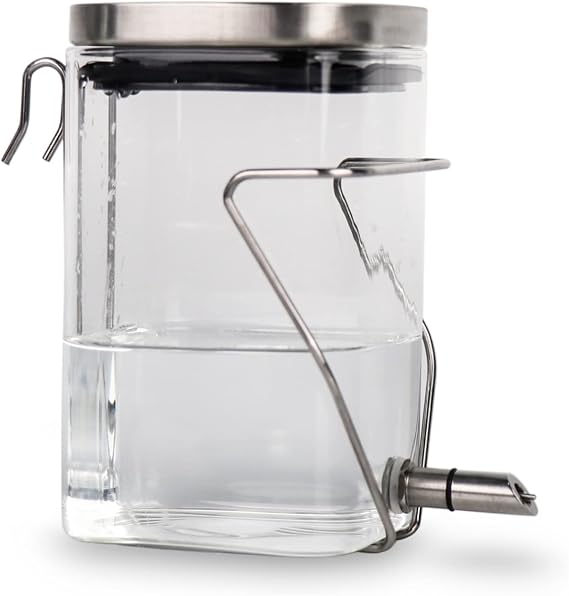 Guinea Pig Water Bottle No Drip, Rabbit Glass Waterer, Chinchilla Stainless Steel Nozzle Anti-Bite Water Dispenser for Small Animal, Bunny, Hamster, Sugar Glider and Rat(20.2oz)