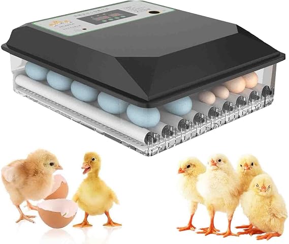 Egg Incubators for Hatching,64 Egg Incubator,Intelligent Incubator,Automatic Egg Turning,Automatic Temperature and Humidity Control,with Led Egg Lighting,for Hatching Chicken,Duck,Quail