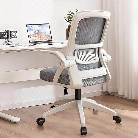 Office Chair Ergonomic Desk Chair, Computer Chair with Lumbar Support