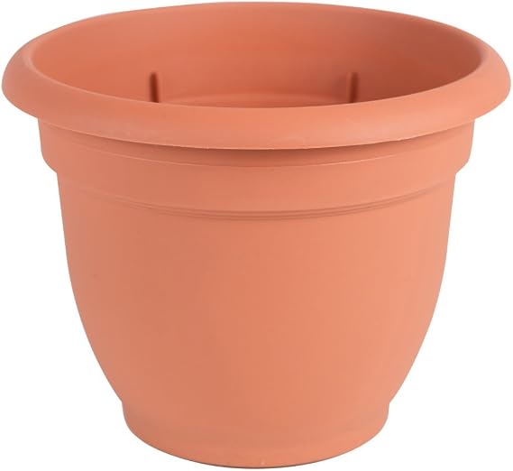 Bloem 16" Ariana Pot Trcot, Terracotta