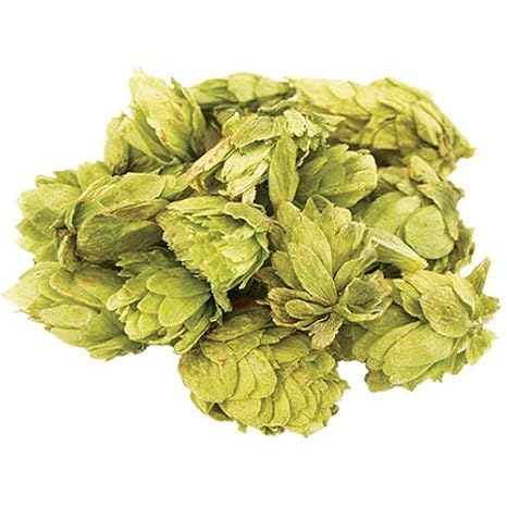 MOSAIC LEAF HOPS 1oz LOOSE HOP CONES FOR AROMA MOSAIC (HBC 369 cv) 1 Ounce
