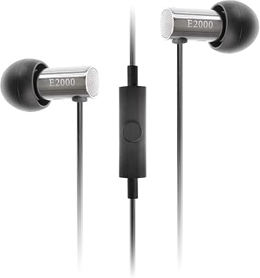 Final E2000 FI-E2DALCS in-Ear Earphones, Controller with Microphone, Matte Silver