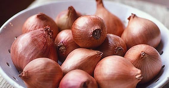 Generic Fresh Shallots, USA Grown, Non-GMO, Allium schoenoprasum (Sweet Onion), Bulk (10 Pounds)