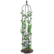 The Fellie 160CM Tall Garden Trellis Plant Support For Climbing Plants, Garden Obelisk Trellis Indoor Outdoor, Lightweight Plant Support Frame For Potted Flowers Vegetable Fruits Vines