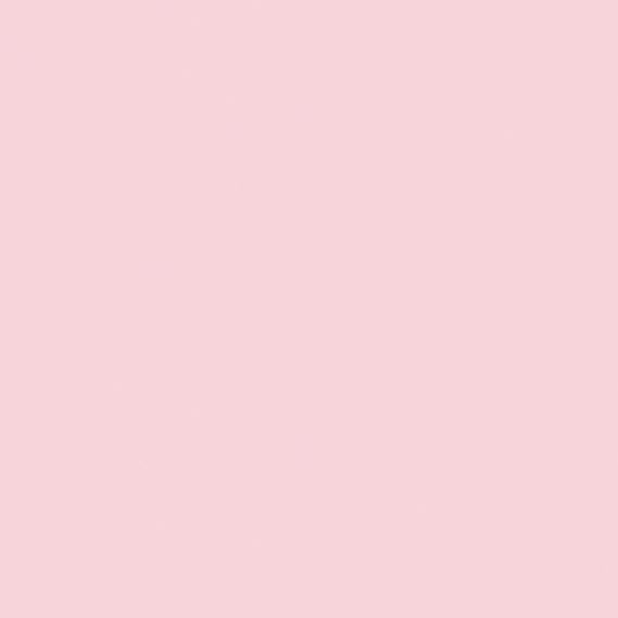 Smoothie CARDSTK 12" Pink Frost