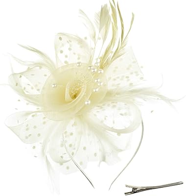 DRESHOW Fascinators Hat Flower Mesh Ribbons Feathers on a Headband and a Clip Tea Party Headwear for Girls and Women