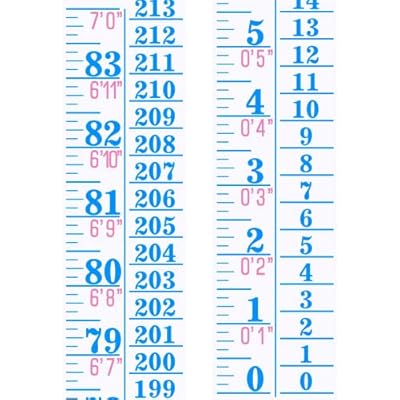 Tatuo Growth Chart Wall Labels Height Indicator Tape Ruler Growth Chart Decor Height Indicator Adhesive Ruler for Home Room MeasuringBlue