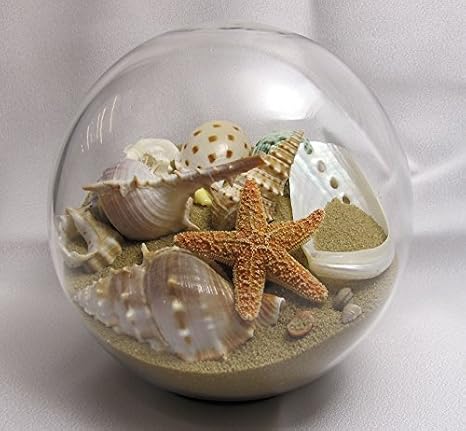 Sand & Shell Sandglobe Paperweight 5-inch Off-White Sand