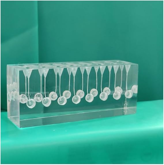 1Piece Dental Training Model Student Practise Endo Root Canal Files Simulator Clear RCT Blocks Tools