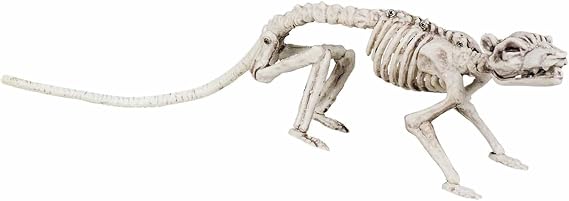Boland 72155 Rat Skeleton, 35 cm