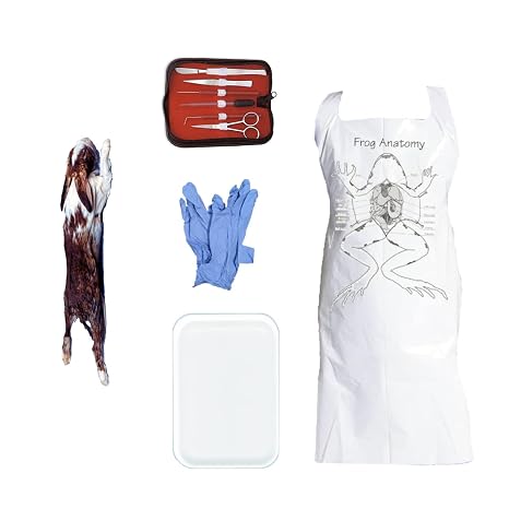 Anatomy Lab Rabbit Dissection Kit with Scalpel Dissection Guide