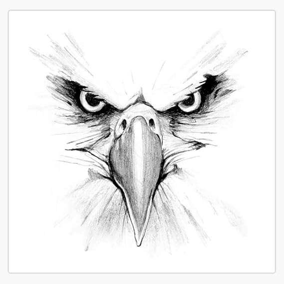 Eagle Face Decal Vinyl Bumper Sticker 5"