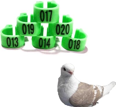 Numbered Pigeon Leg Band Poultry Leg Ring Birds Chicken Quail Dove Pigeon Foot Ring 001-5009 Colors Green 001-100