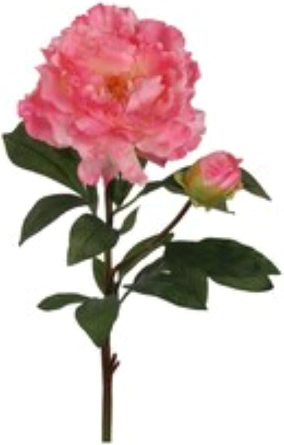 Larksilk 2pc 30" Peony Stem for Bouquets & Centerpieces