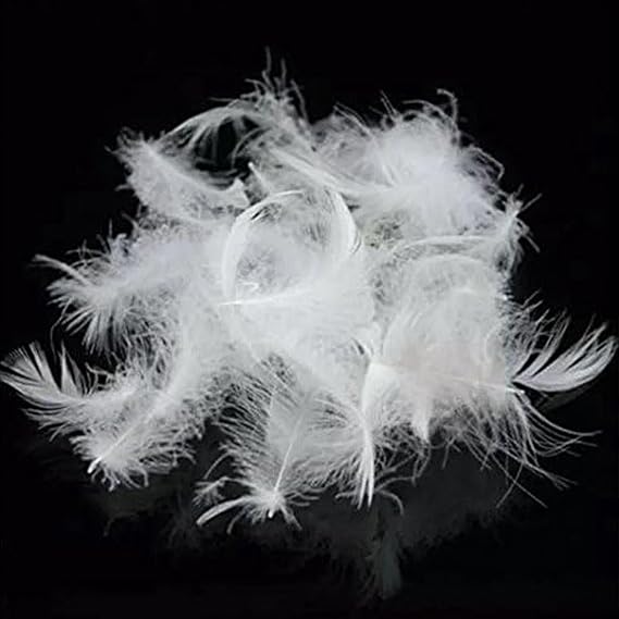 Goose Down Feather Pillow Stuffing & Filling, 5% Down 95% Feather (5/95), Bulk Fill for DIY, Refill, Repair & Restuffing, Pillows, Cushions, Couch, Bedding, Dog Beds & Upholstery, 1 lb