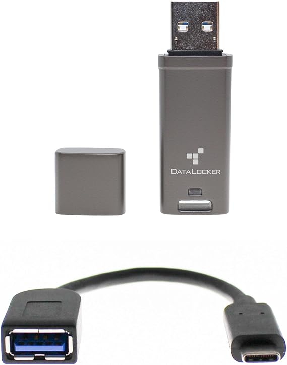 DataLocker DL GO Encrypted USB Flash Drive | USB 3.2 Gen 1 | AES 256-bit XTS | FIPS 197 | IP68 Rugged | TAA Compliant with USB-C Adapter - 4GB