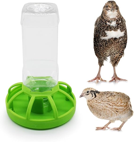 Multiple-Hole AUTO Water Feeder for Button Quails