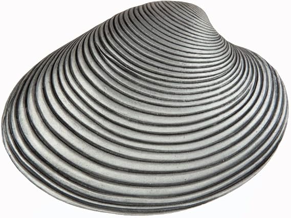 Artisan Clam Shell Cabinet Knob, Antique Pewter