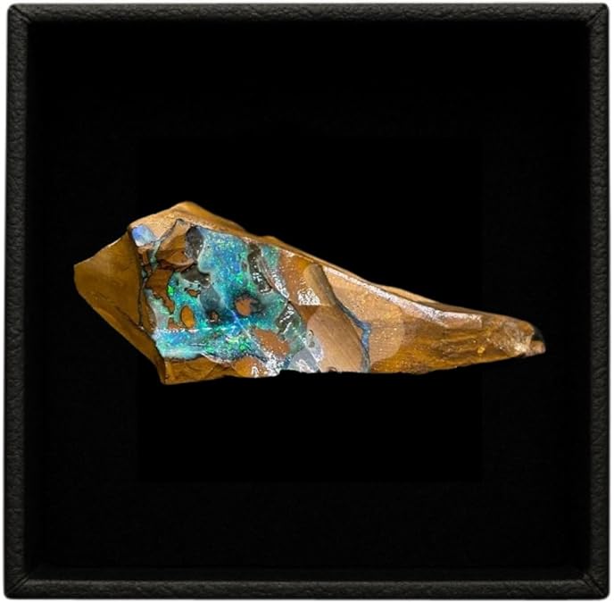 Stunning Boulder Opal Single Rough
