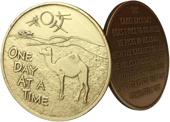 Wendells Bulk Lot of 25 Camel Desert Scene One Day at A Time Bronze Medallions Chips
