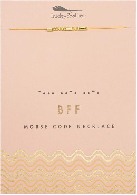 Lucky Feather Morse Code Secret Message Necklace