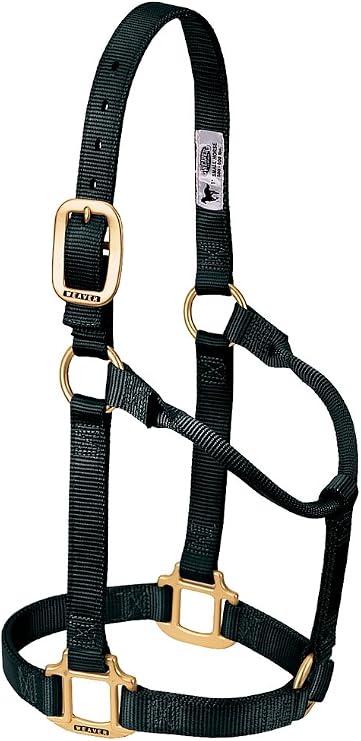 Weaver Leather Original Non-Adjustable Nylon Horse Halter Black, Weanling/Pony