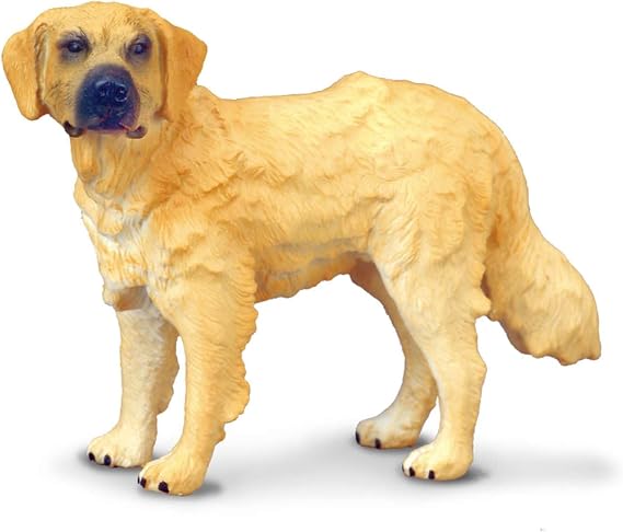 ゴールデン・レトリーバー - Golden Retriever