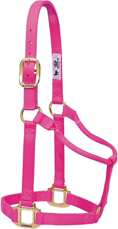 Weaver Leather Original Non-Adjustable Nylon Horse Halter, Average, Diva Pink