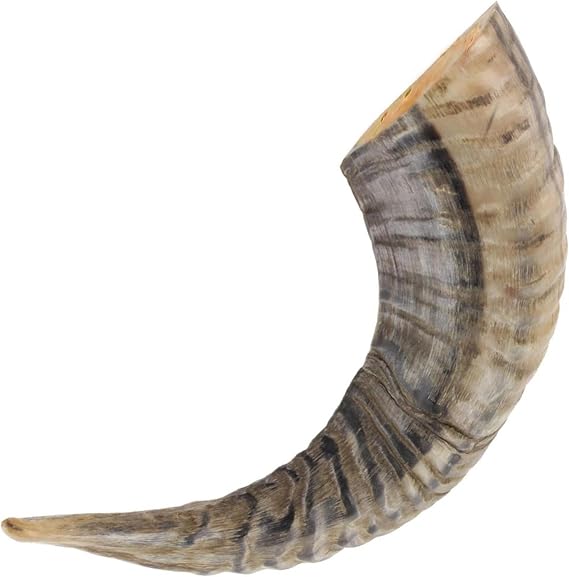 Armory ReplicasTM Natural Ram Drinking Horn Hand-Polished Ram Horn Shofar, Rustic Decor Accent, Mead or Ale Cup, 1012 Inches