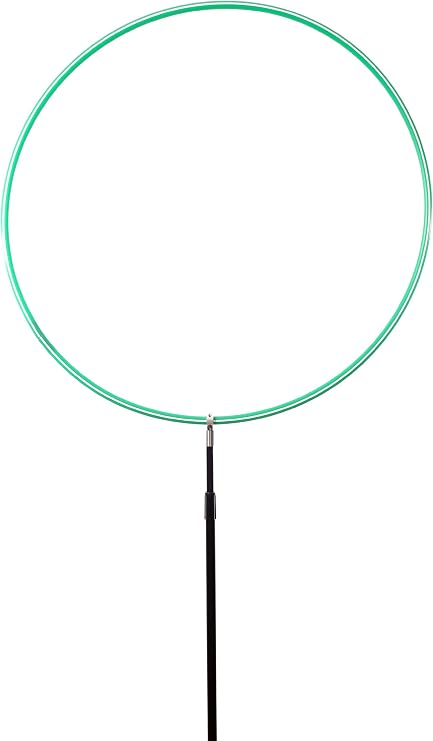 Parrot Flight Training Hoop (Large, Green)