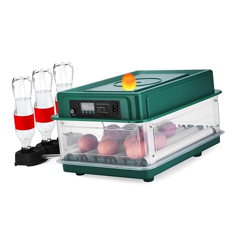 Incubator 30 Eggs Fully Automatic Digital Hatching for Home