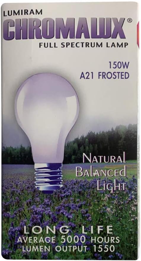 0902106 Light Bulb