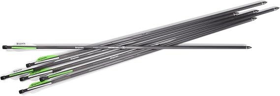 Benjamin AB6PKA Pioneer Airbow Arrow Pack