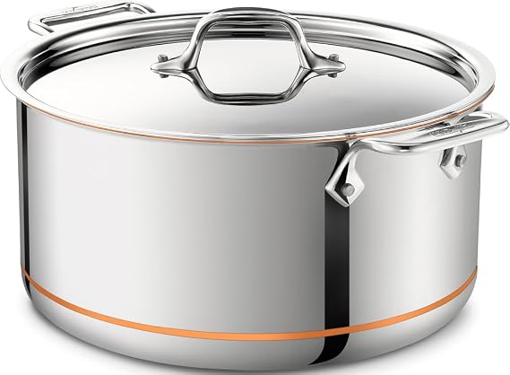 All-Clad Copper Core Stainless 6 Qt Stockpot with Lid, Made in the USA
