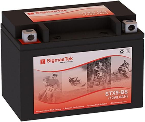 EverStart ES9BS Motorcycle Battery (Replacement)