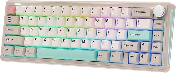 EPOMAKER TH65 Wireless Gaming Keyboard 65% Mechanical Keyboard Support Hot Swap Retro White, Creamy Jade