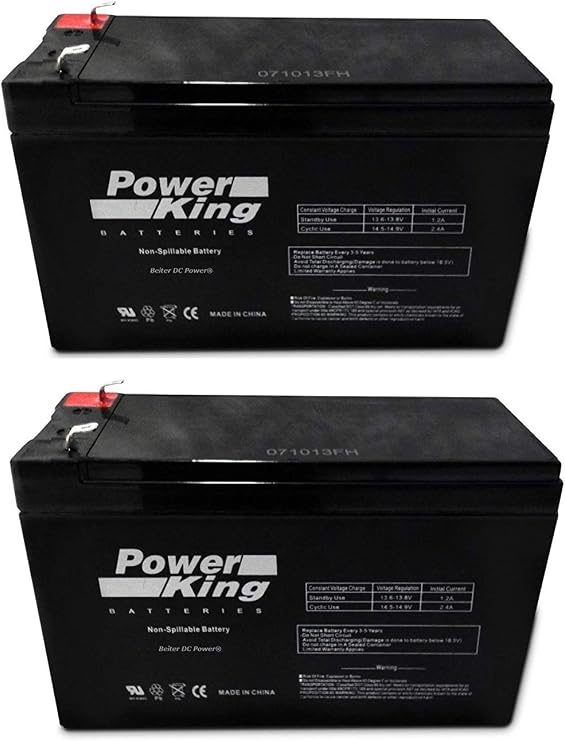 APC Back-UPS Pro 1000 - BX1000G Replacement