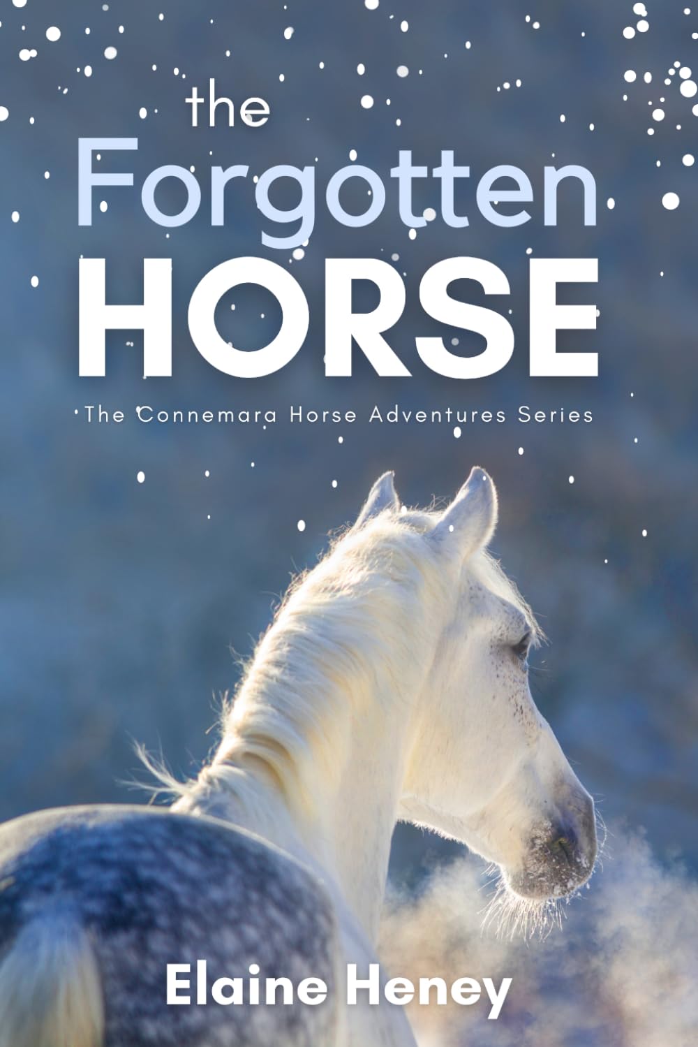 The Forgotten Horse - Book 1 in the Connemara Horse Adventure Series for Kids. The perfect gift for children age 8-12. Connemara Adventures Paperback – February 24, 2022