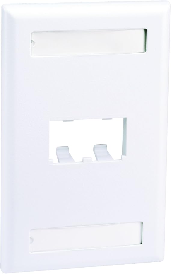Panduit CFPL2WHY 2-Port Mini-Com Single-Gang Faceplate with Labels, Classic Series, White