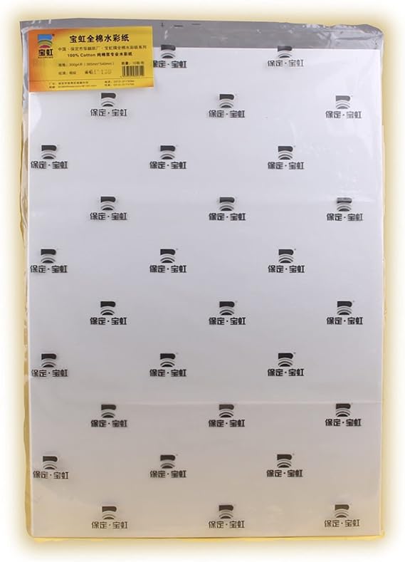 BAOHONG Academy' Watercolor Paper, 100% Cotton, Acid-Free, 140LB/300GSM (Textured Cold Press 390x540mm, Roll of 10 Sheets)