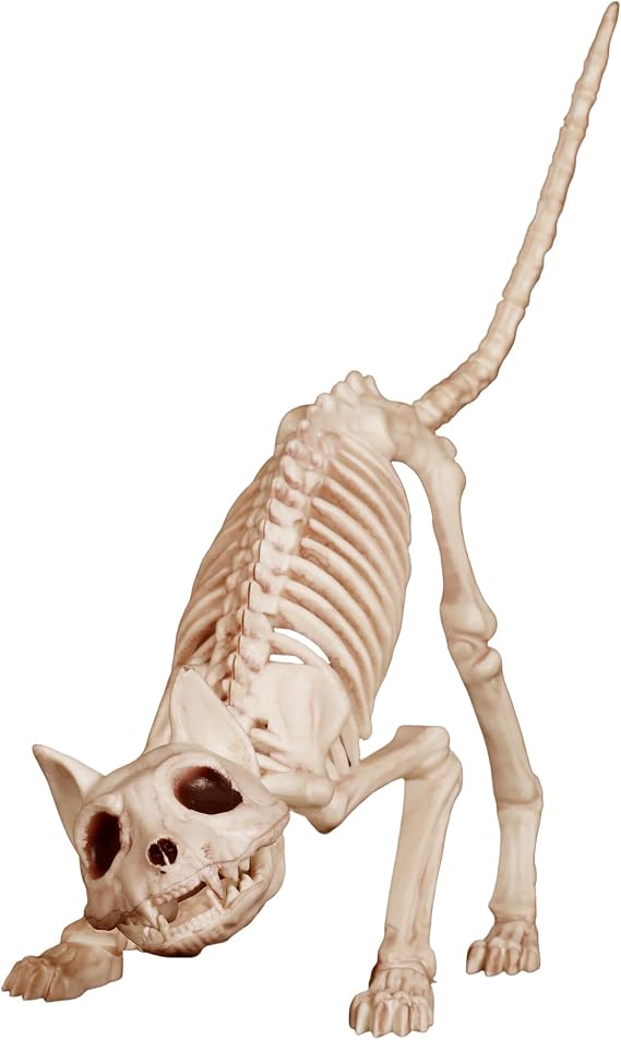 Crazy Bonez Skeleton Cat - Lil' Kitty Bonez