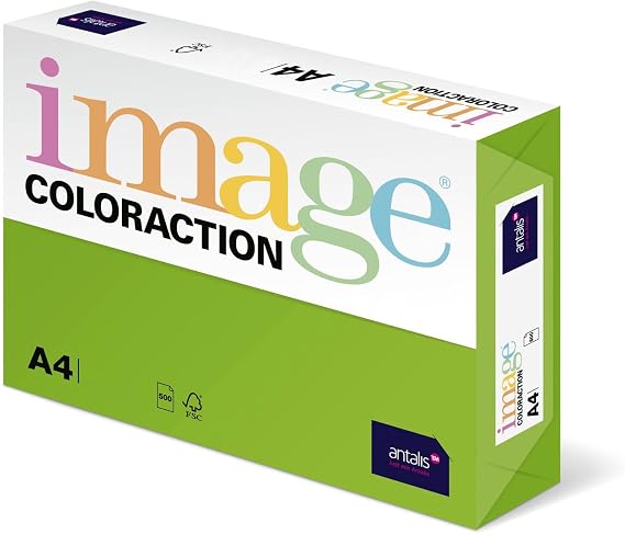 Coloraction Antalis 838A 160S 26 DIN A4 Photocopying Paper 160 g/sqm Java May Green