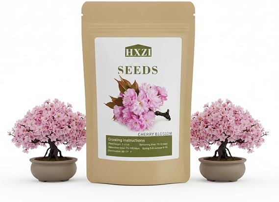Japanese Cherry Blossom Seeds, Bonsai Seeds, Pack of 30 Bonsai Tree Seeds
